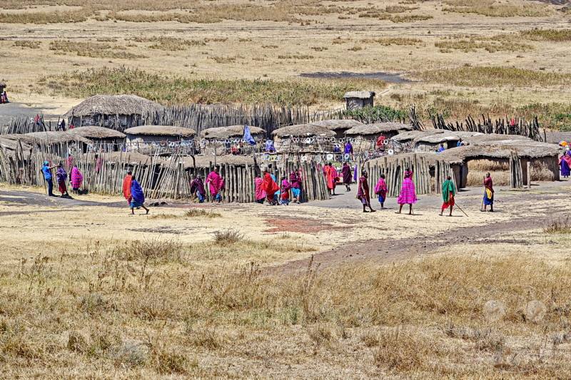 Tansania - Serengeti