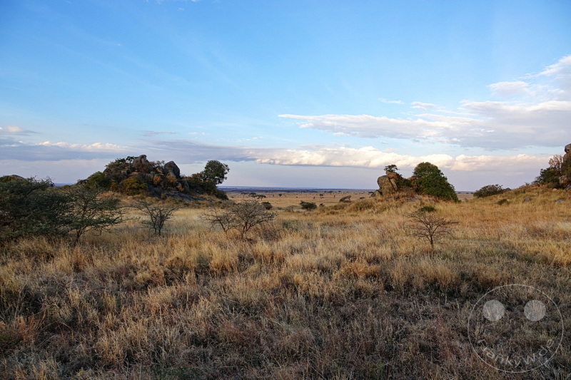 Tansania - Serengeti