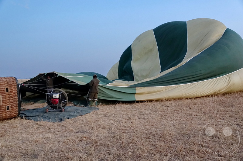 Tansania - Serengeti