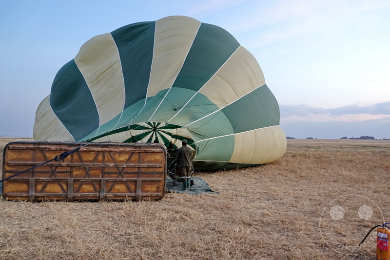 Tansania - Serengeti