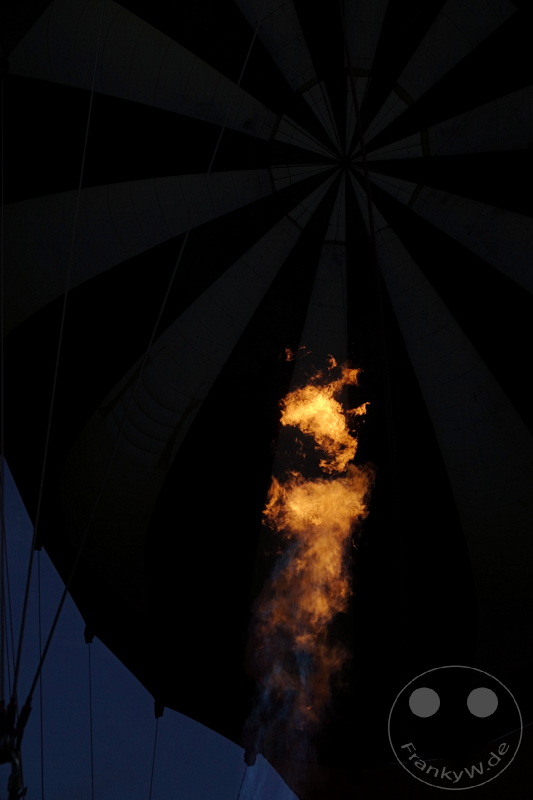 Tansania - Serengeti