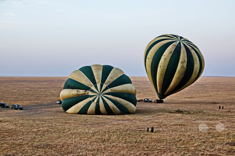 Tansania - Serengeti