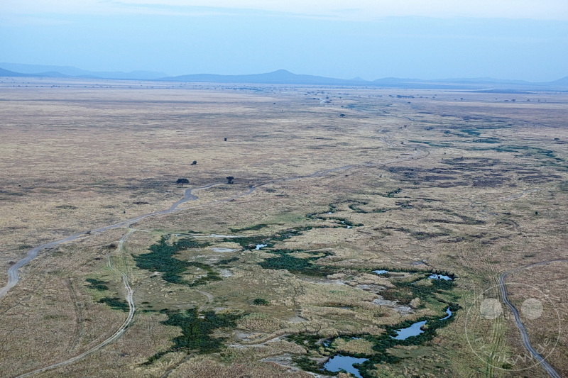 Tansania - Serengeti