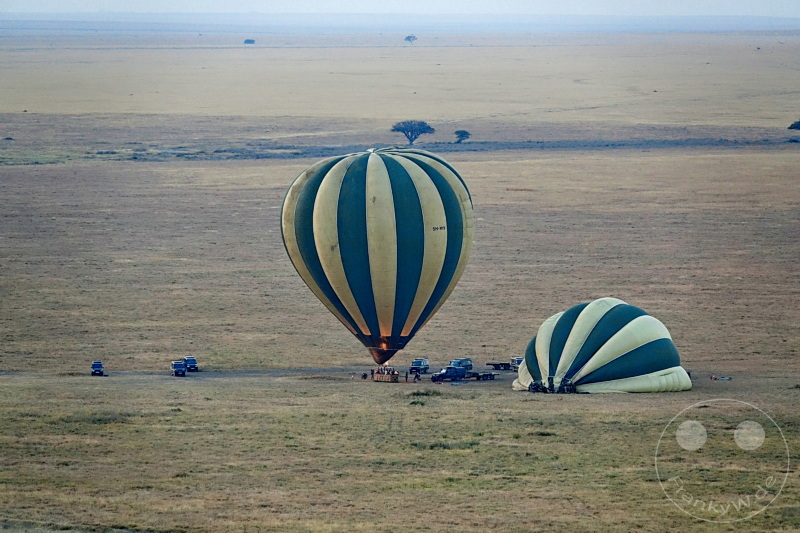 Tansania - Serengeti