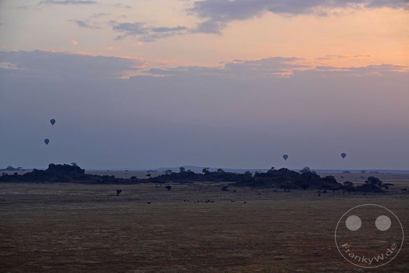 Tansania - Serengeti
