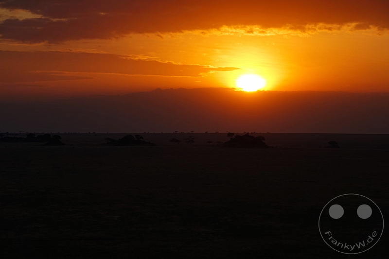 Tansania - Serengeti