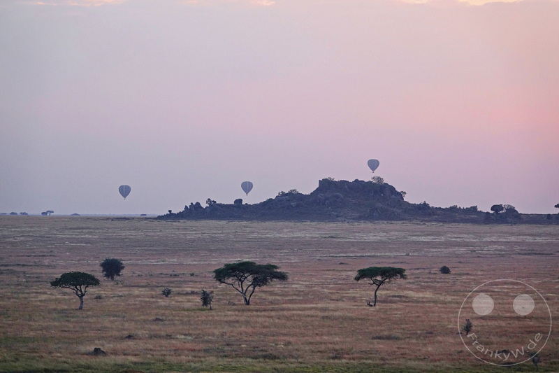 Tansania - Serengeti