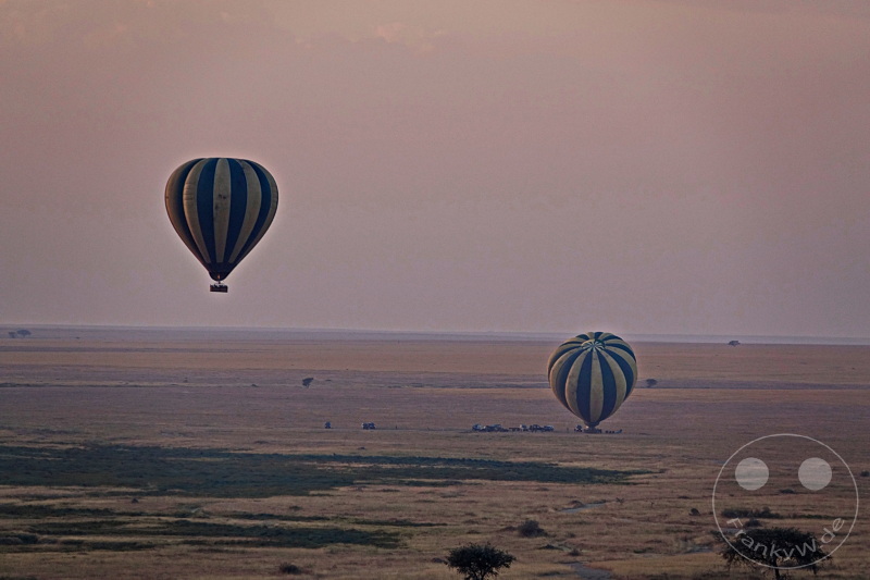 Tansania - Serengeti