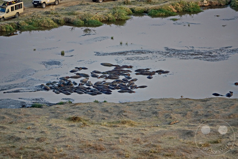 Tansania - Serengeti