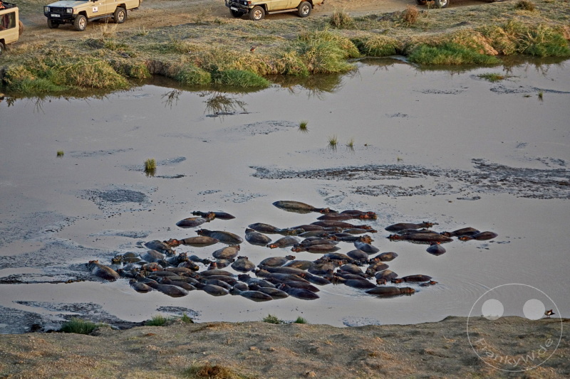 Tansania - Serengeti