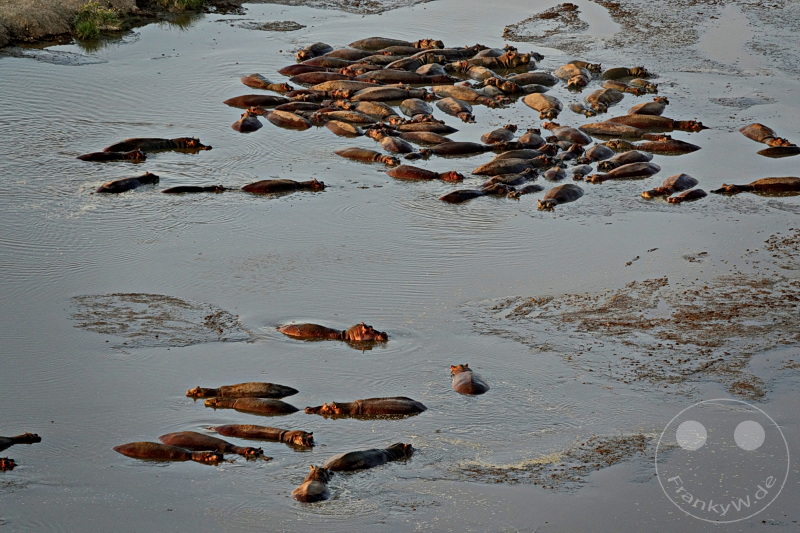 Tansania - Serengeti