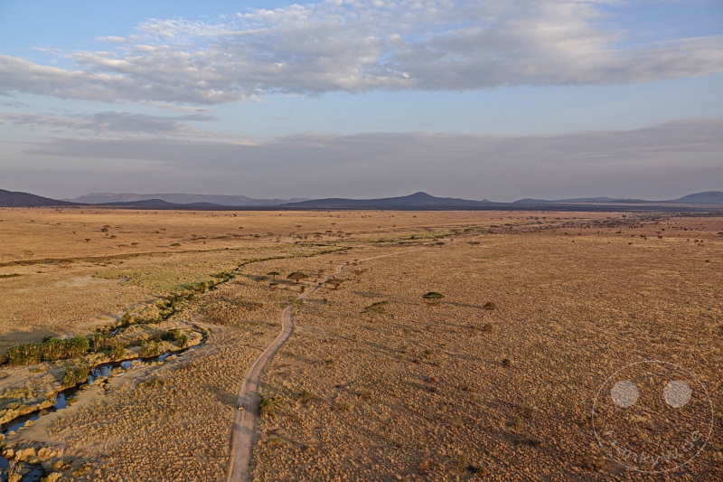 Tansania - Serengeti