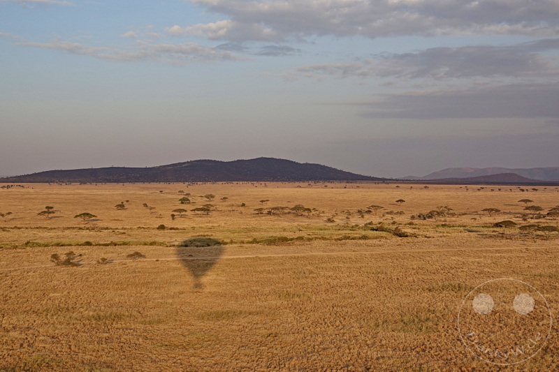 Tansania - Serengeti