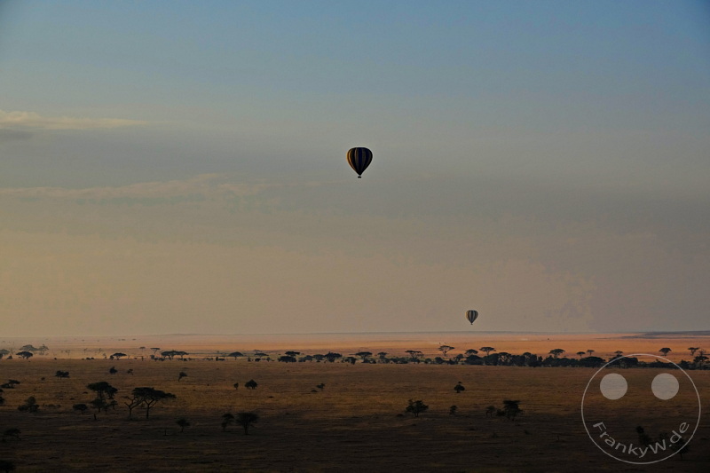 Tansania - Serengeti