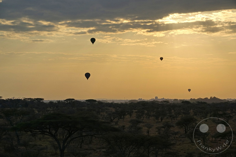 Tansania - Serengeti