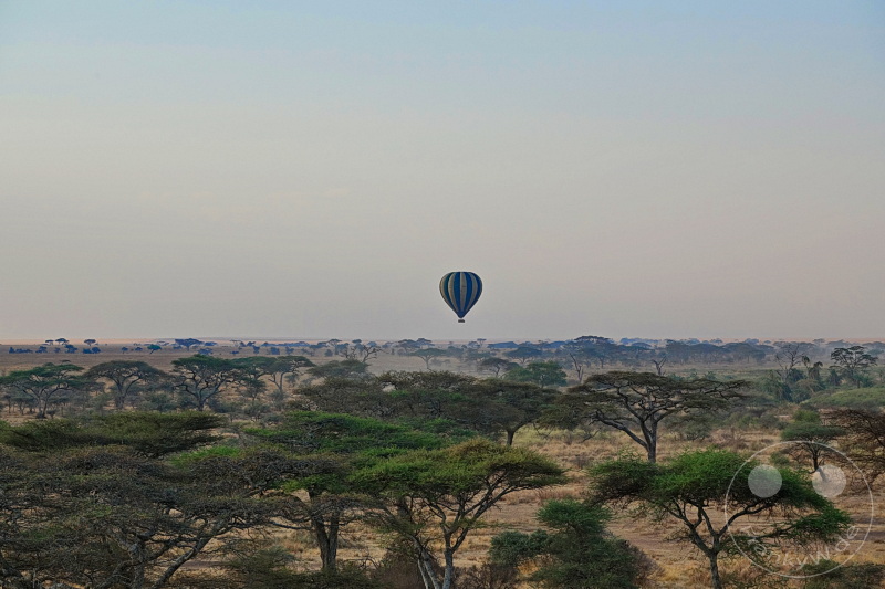 Tansania - Serengeti