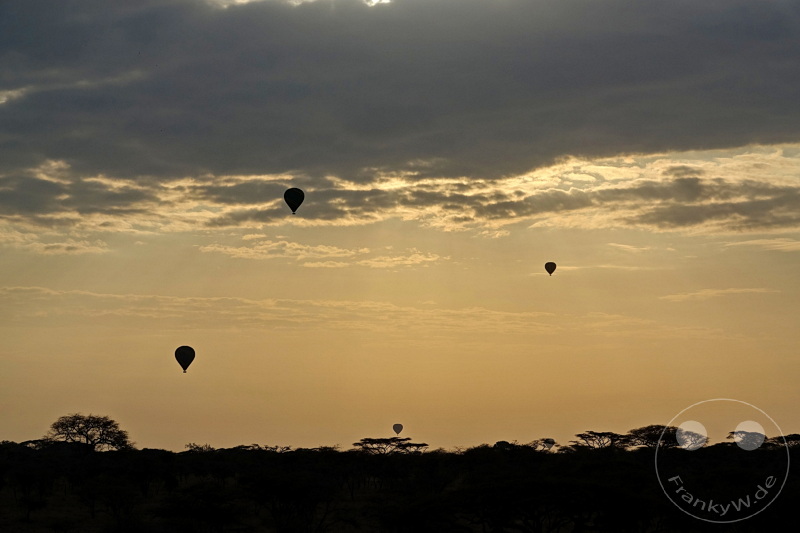 Tansania - Serengeti