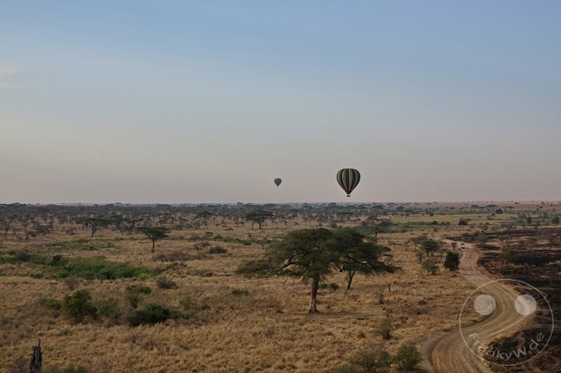 Tansania - Serengeti