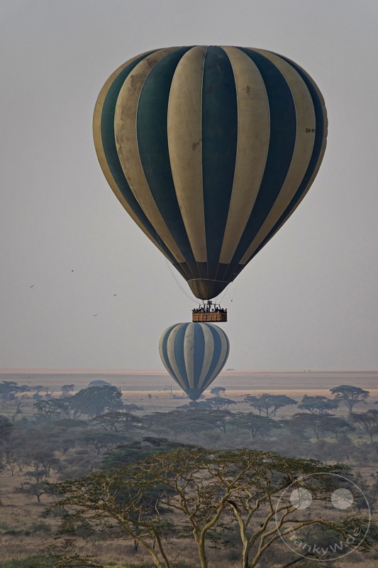 Tansania - Serengeti