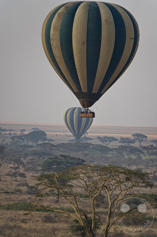 Tansania - Serengeti