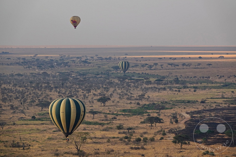 Tansania - Serengeti