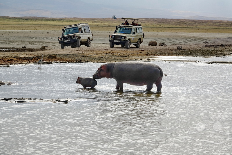 Tansania - Ngorongoro-Krater
