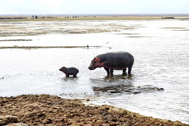 Tansania - Ngorongoro-Krater