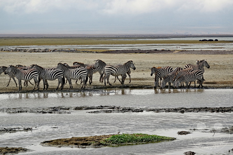 Tansania - Ngorongoro-Krater