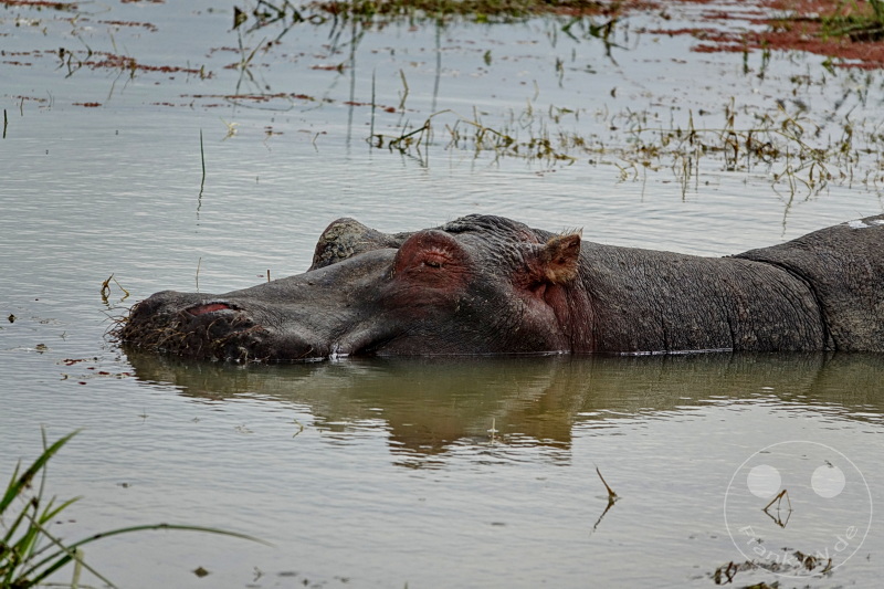 Tansania - Ngorongoro-Krater