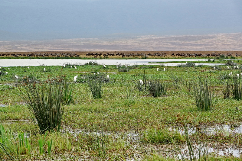 Tansania - Ngorongoro-Krater