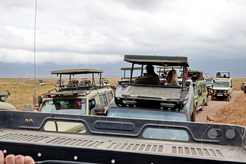 Tansania - Ngorongoro-Krater