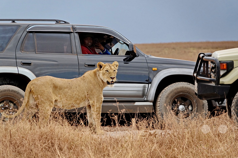 Tansania - Ngorongoro-Krater
