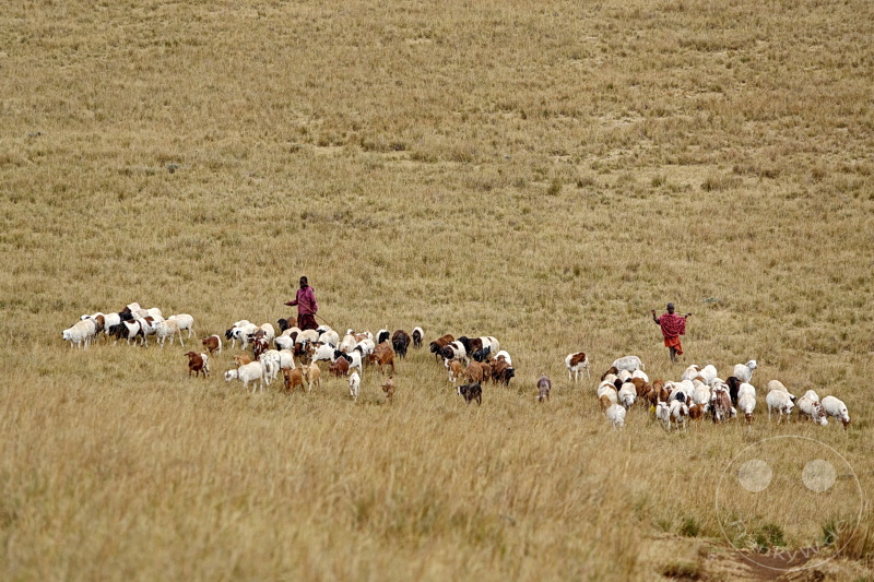 Tansania - Massai-Land