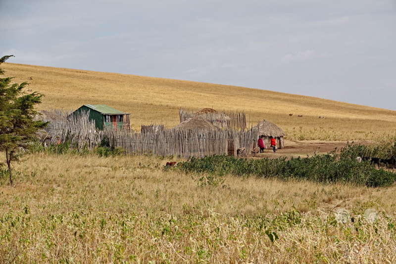 Tansania - Massai-Land