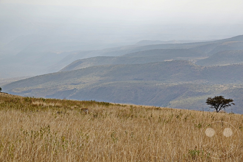 Tansania - Massai-Land