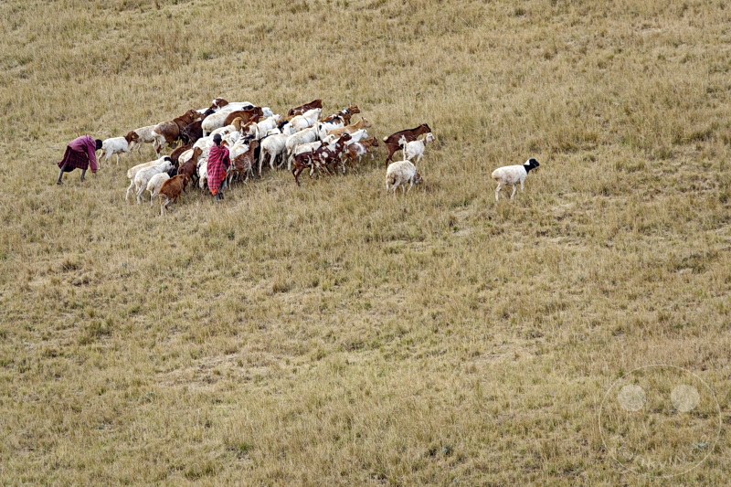Tansania - Massai-Land