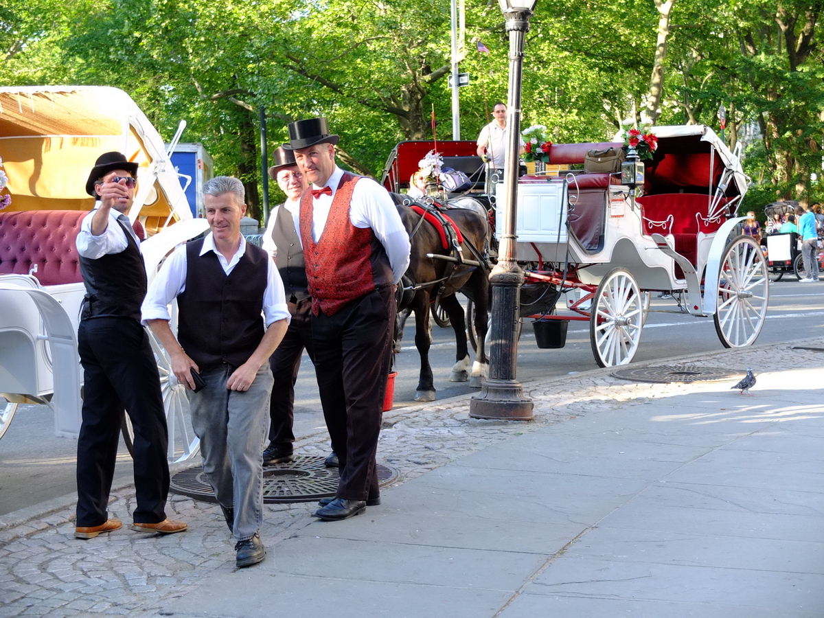 New York - Central Park - Horse-drawn carriage