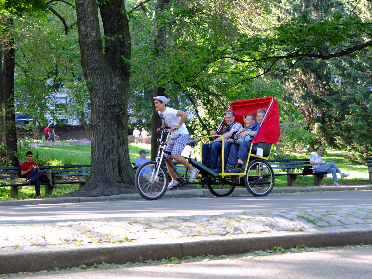 New York - Central Park - Bicycle carriage