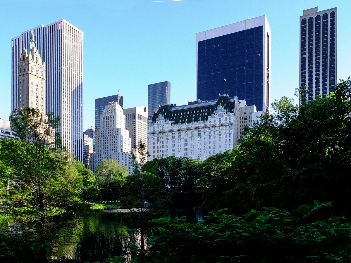New York - Central Park