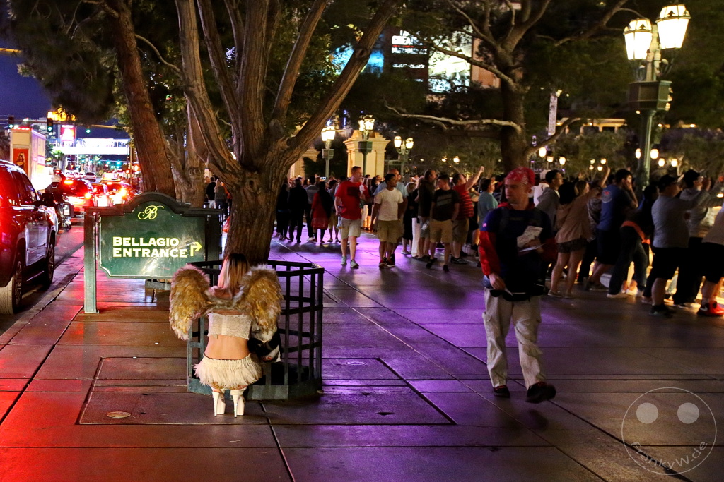 Nevada - Las Vegas - Fallen angel