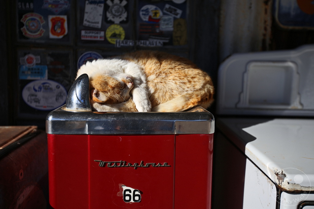 Arizona - Hackberry - Route 66