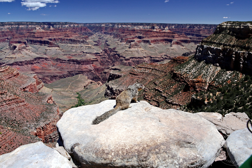 Arizona - Grand Canyon