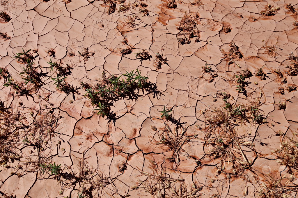 Arizona - Navajo Trail