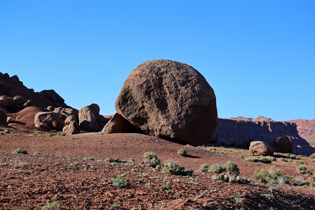 Arizona - Marble Canyon