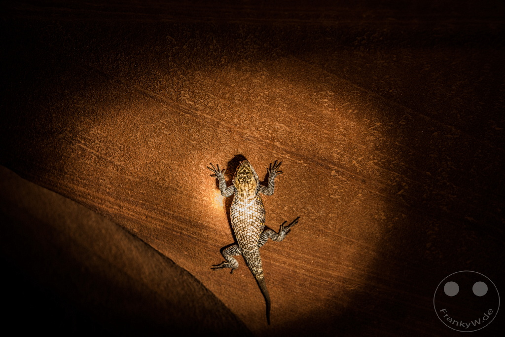 Arizona  - Page - Antelope Canyon