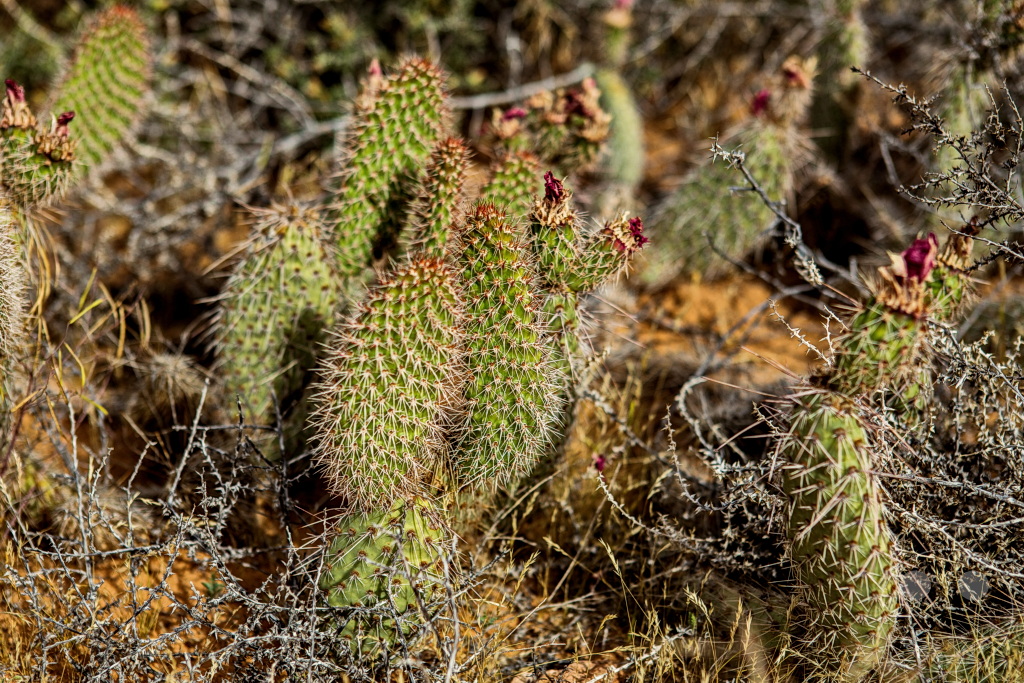 Arizona - Page - Wahweap Overlook