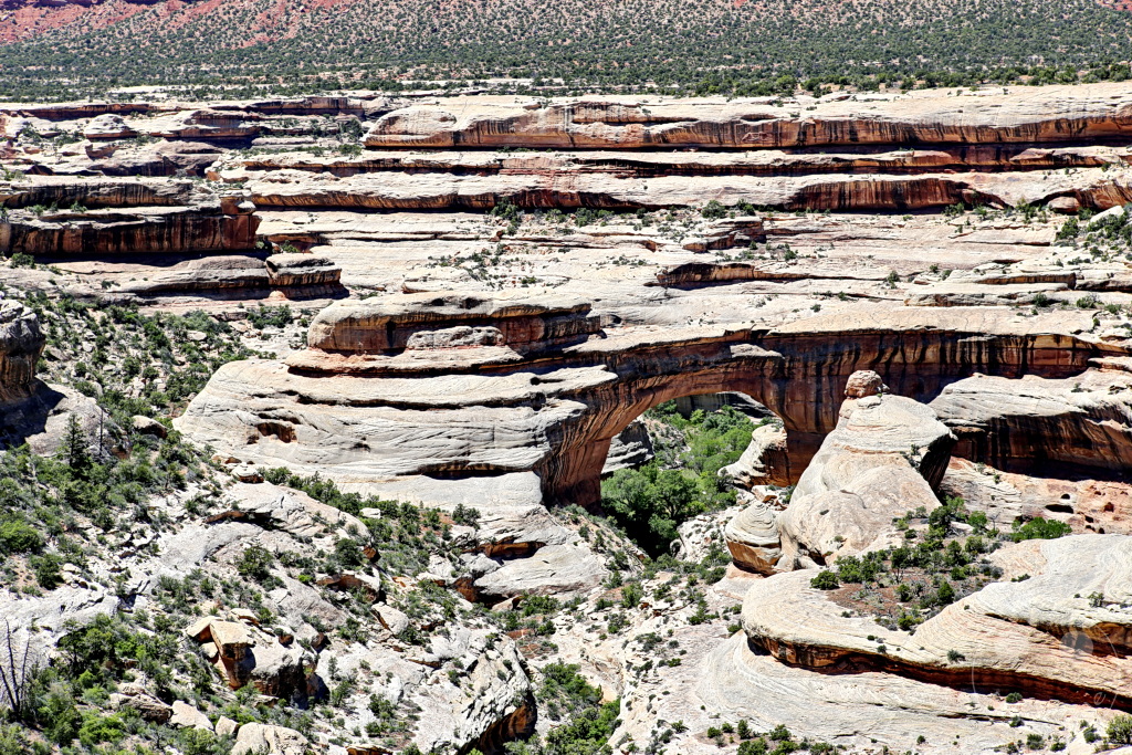 Utah - Sipapu Bridge