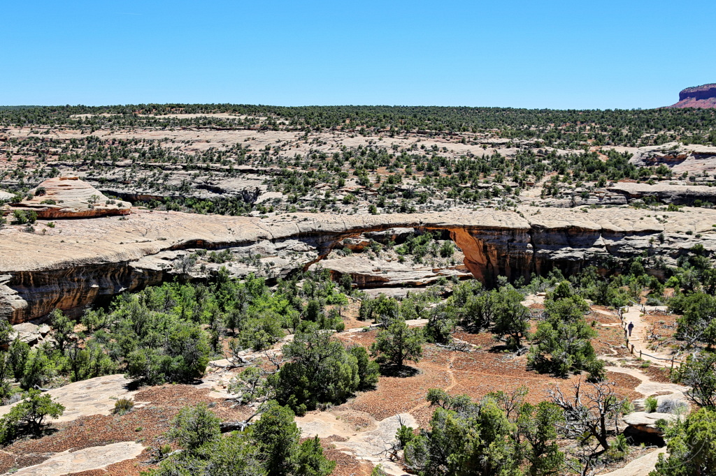 Utah - Owachomo Bridge