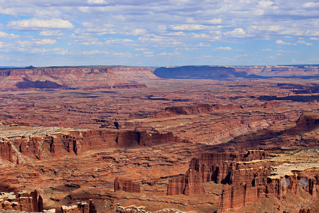 Utah - Canyonlands-Nationalpark - Grand View Point Overlook