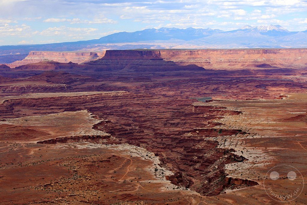 Utah - Canyonlands-Nationalpark - Buck Canyon Overlook